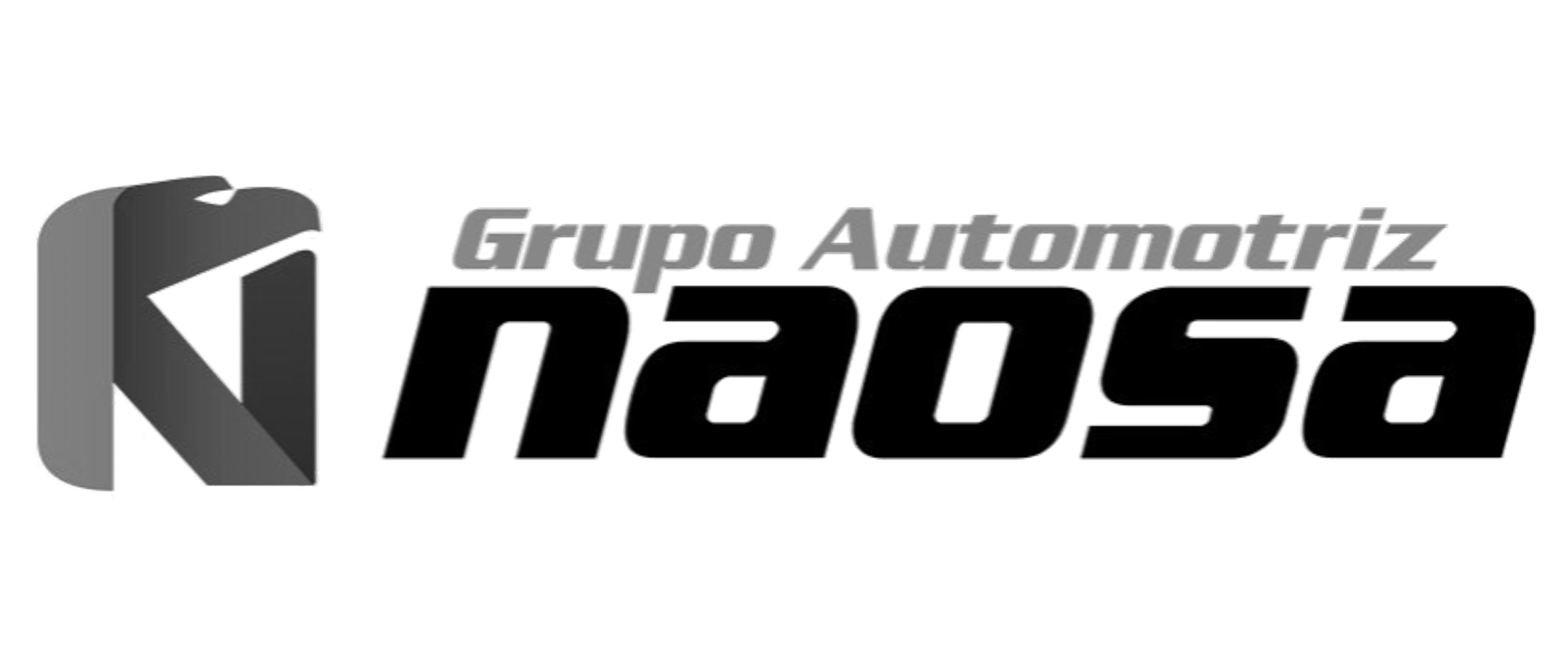 logo naosa1
