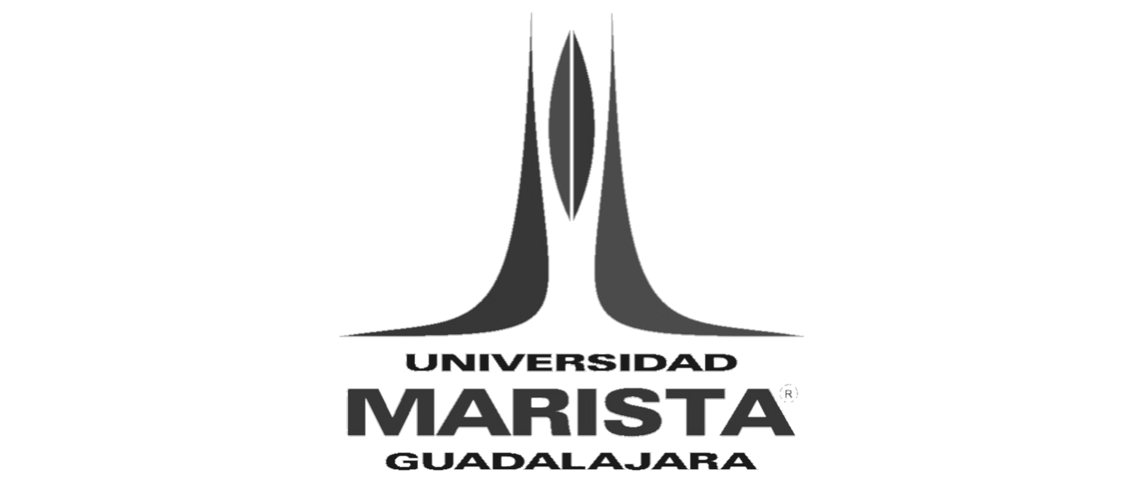 logo universidad marista1